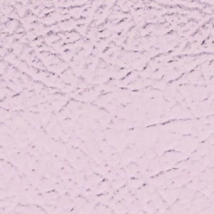 Aaraliaa - Image 4