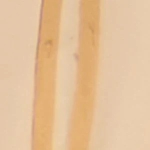 Adweli - Image 3