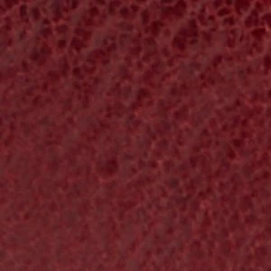 Alamo - Image 7