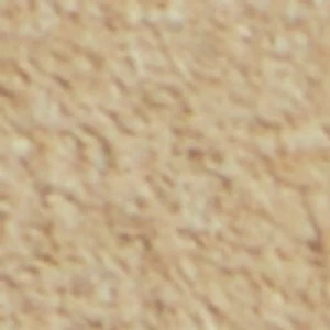 Alastor - Image 9