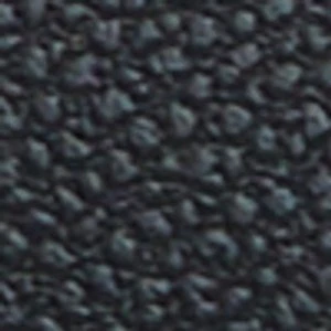 Albany - Image 7