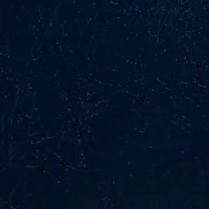 Alesiaa - Image 5