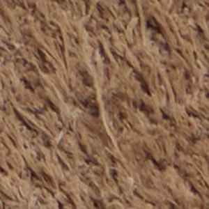 Alexio - Image 9