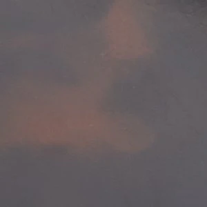 Aliix - Image 2