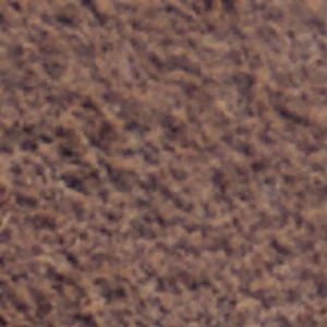 Alloria - Image 7