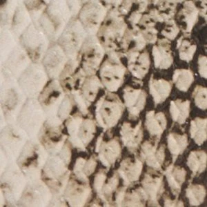 Amelliee - Image 5