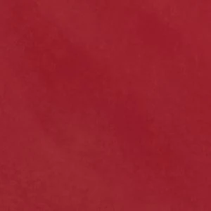 Amilie - Image 7