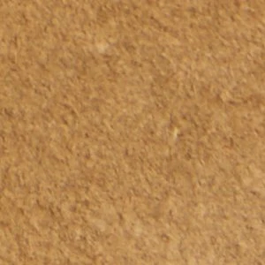 Arturo - Image 9