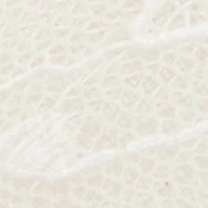 Azaro - Image 7
