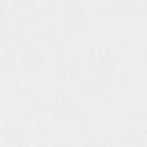 Bearbelle - Image 3