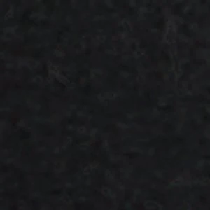 Bert - Image 9