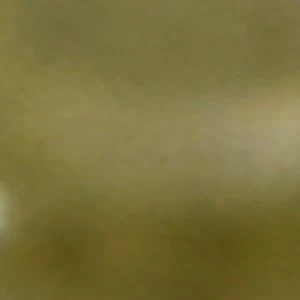 Bohemian - Image 3