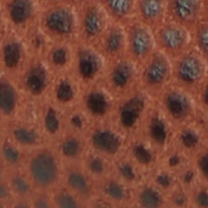 Buckley - Image 9