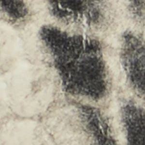 Carrobreria - Image 7