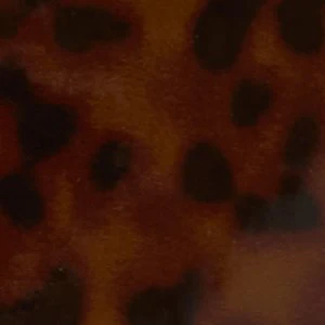 Ccharlipurseex - Image 6