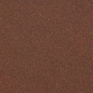 Cedric - Image 9