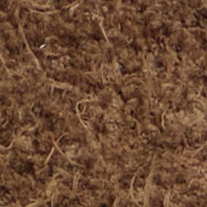 Cedric - Image 9