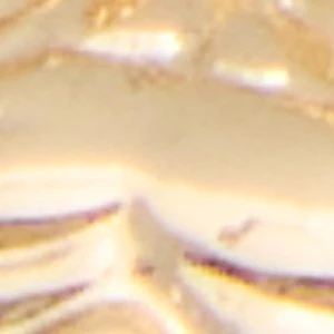 Chances - Image 3