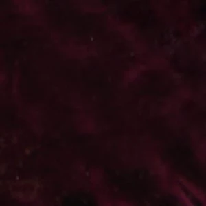 Chicsneaker2 - Image 8