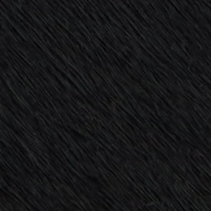 Corbin - Image 9