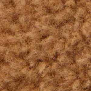 Cozycove - Image 2