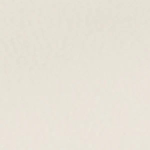 Daisylily - Image 9