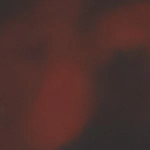 Darlina - Image 7