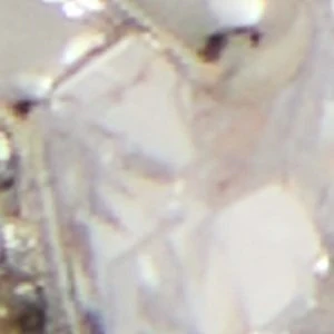 Darly - Image 3