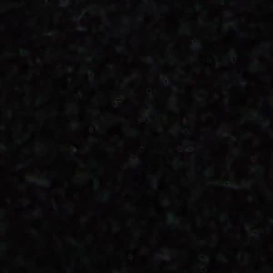 Deevale - Image 8