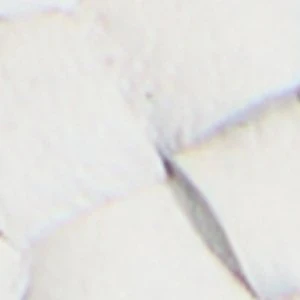 Dragostee - Image 7