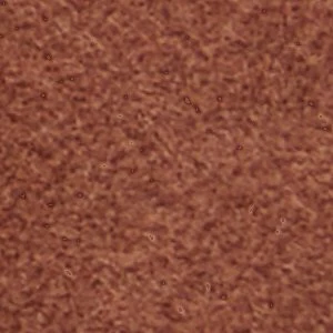 Ecko - Image 8