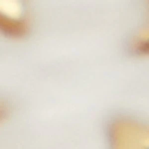 Elbelia - Image 3