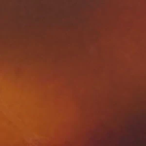 Eliiana - Image 3