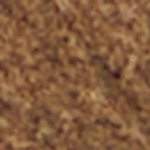 Elio - Image 9