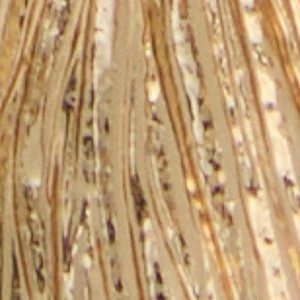 Ellysia - Image 3
