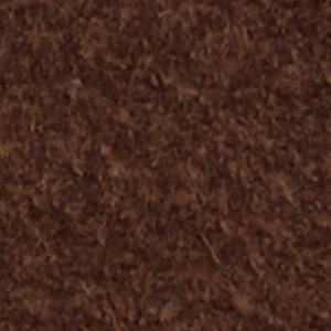 Emberlyn - Image 7