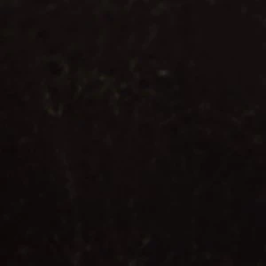Emmalie - Image 7