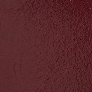 Evielilyy - Image 5