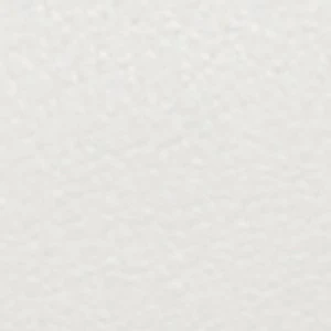 Evielilyy - Image 6