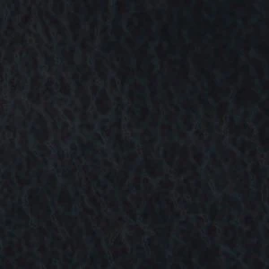 Fiero - Image 9