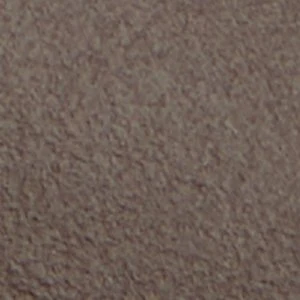 Finn - Image 9