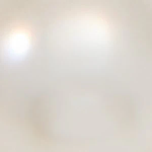 Gilpatricia - Image 3