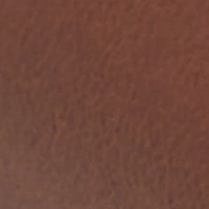 Gio - Image 8