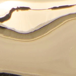 Gleema - Image 3