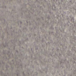 Gordo - Image 9