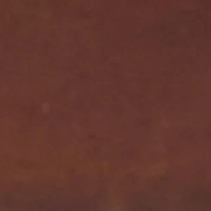 Harveyy - Image 3