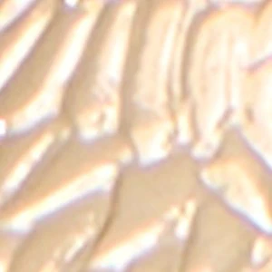 Horoscopes - Image 3