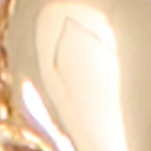 Horoscopes - Image 3