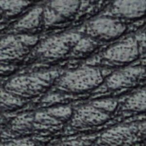 Horton-in - Image 9