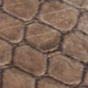 Iliria - Image 8